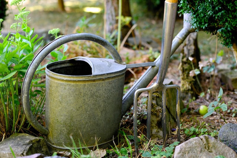 Watering Can in Garden